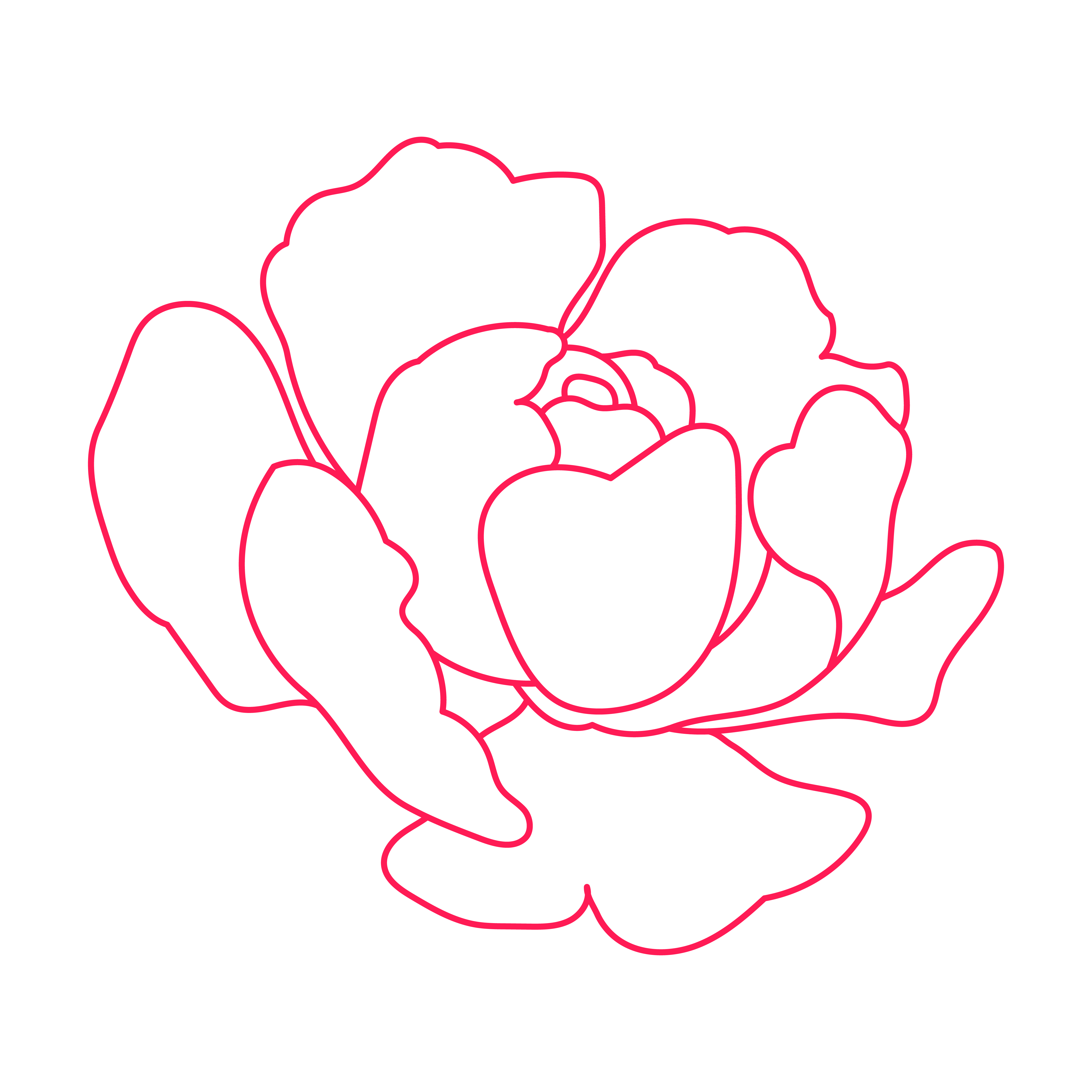 Peony