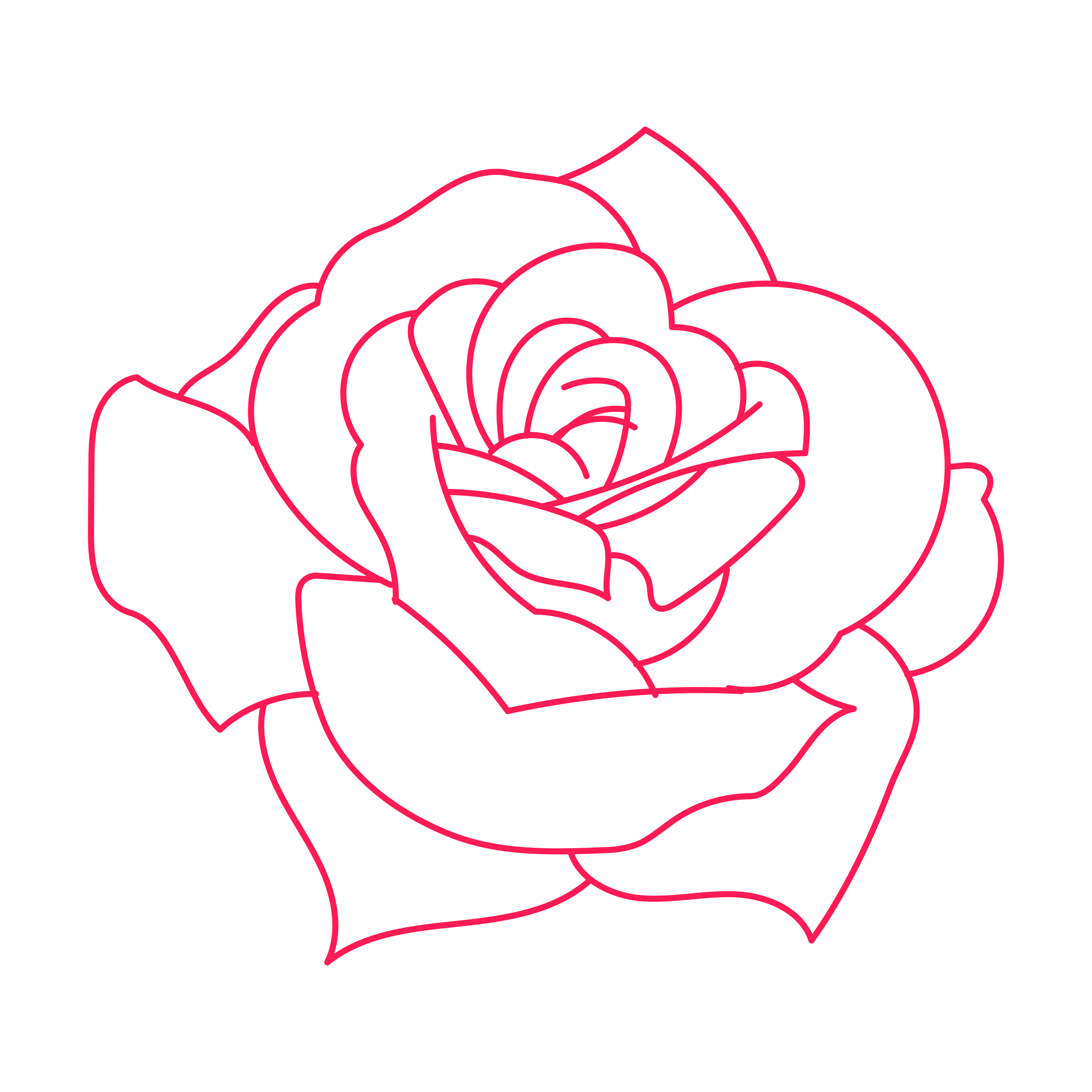 Rose